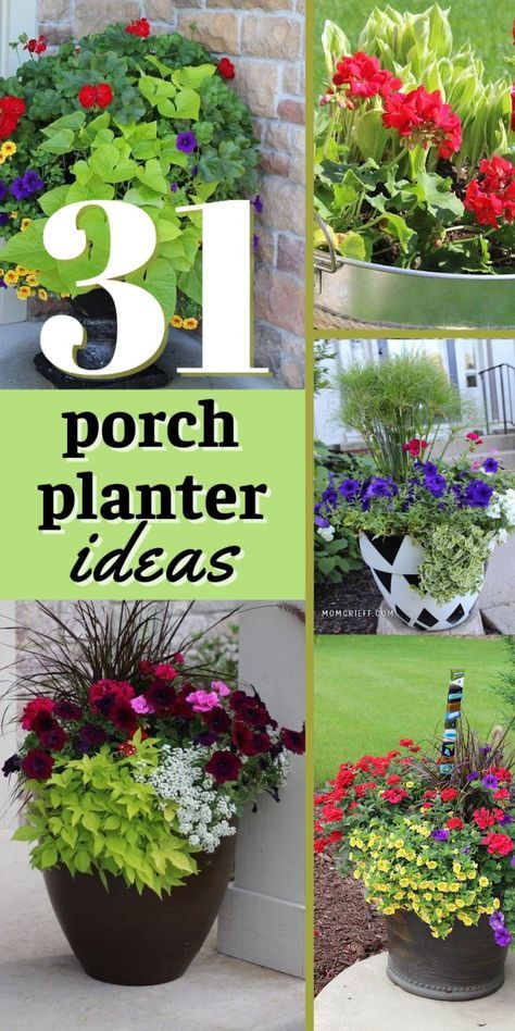 Are you looking for ideas and inspiration for your summer planters? These are all flower pots that I have personally seen and photographed. Outdoor Plant Pot Ideas, Pedestal Planter Ideas, Large Planter Pot Ideas, Garden With Pots Landscaping, Summer Containers Planters, Plant Arrangements Outdoor, Flower Pot Arrangement Ideas, Flower Pot Planting Ideas, Patio Planter Ideas Plant Pots