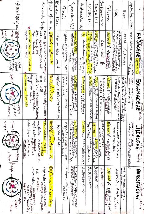 Plant Growth Regulators Notes, Botany Study Notes, Morphology Of Flowering Plants Mind Map, Plant Families Chart, Cockroach Notes Neet, Human Health And Disease Notes Neet, Biology Short Notes For Neet, Morphology Of Flowering Plants Notes For Neet, Respiration In Plants Notes Class 11