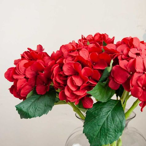 Red Hydrangea, Hydrangea Colors, Paint Flowers, Color Palate, Faux Flowers, Pretty Things, Hydrangea, Peonies, Fresh Water