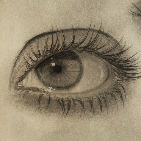 Things With Meaning To Draw, Eye Drawing Guidelines, Eye Art Pencil, Eye Detail Drawing, Eye Drawing Reference Digital, Beginner Realism Drawing, Drawing Ideas Realistic Pencil, Detailed Things To Draw, Tonal Eye Drawing