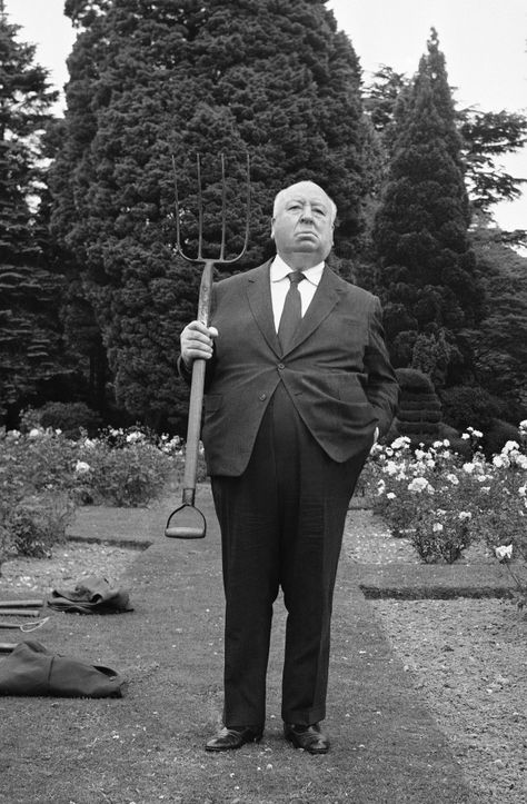 Alfred Hitchcock Movies, Hitchcock Film, Movie Directors, Alfred Hitchcock, Tv Movie, Film Producer, Film Director, Classic Movies, The Villain