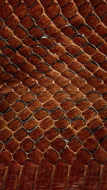 texture_leather_snake_scales_background_72580_640x1136 | Flickr - Photo Sharing! Red Colour Wallpaper, Background For Pc, 480x800 Wallpaper, Hd Textures, Snake Scales, Textiles Sketchbook, Theme Pictures, Fabric Textures, Hd Background