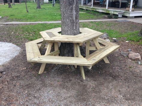 The Picnic Table Around a Tree I Built today!!! Park Bench Ideas, Bench Around Trees, Trunk Bench, Ideas Para Decorar Jardines, Building A Floating Deck, Tree Seat, Tree Deck, Painted Benches, Landscaping Around Trees