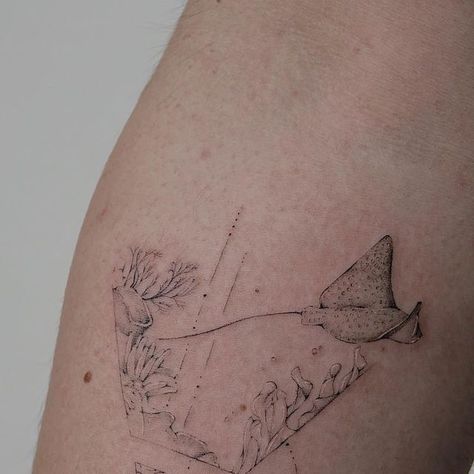 Melissa Uluc on Instagram: "ocean theme with a small manta ray 🌊 thank you Moritz for your trust and for coming all the way on your birthday for this one 🌊 . . . . #ocean #oceantattoo #mantaray #coral #coralreef #ornamenttattoo #finelinetattoo" Dainty Ocean Themed Tattoos, Fine Line Manta Ray Tattoo, Tattoo Ocean Theme, Sea Lion Tattoo, Ocean Themed Tattoos, Sea Animal Tattoos, Reef Tattoo, Manta Ray Tattoo, Coral Tattoo