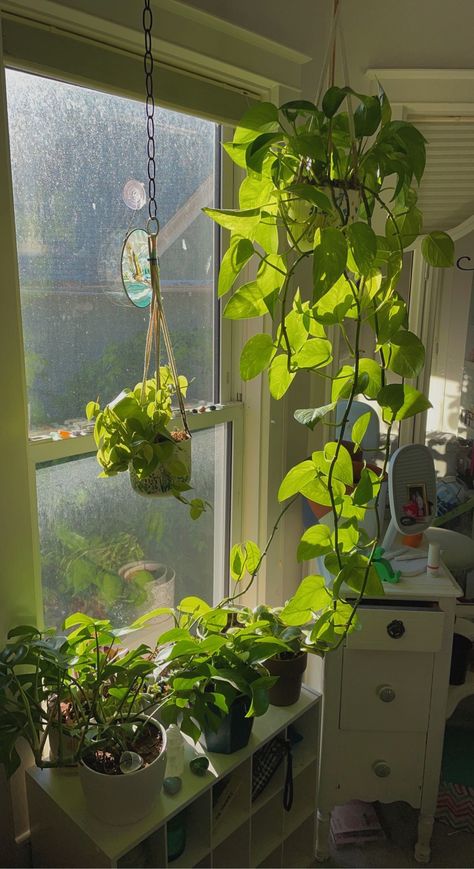 Plants By Window, Green House Plants, Cute Plants Aesthetic, Green Plants Aesthetic Room, Room Inspo Plants, House Full Of Plants, Room Full Of Plants Aesthetic, Aesthetic Plants, Room Plants