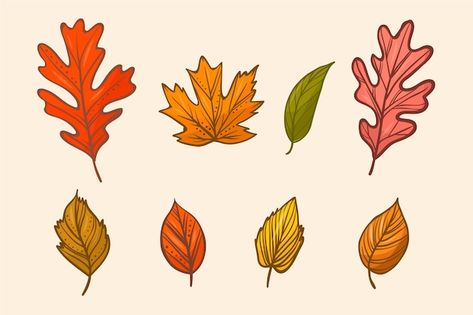 Free vector hand drawn autumn leaves col... | Free Vector #Freepik #freevector #autumn-leaves #fall-leaves #fall #autumn Fall Leaves Drawing, Fall Leaves Svg, Leaves Drawing, Leaf Clipart, Svg Images, Leaf Drawing, Leaves Vector, Free Business Card Mockup, Business Card Maker