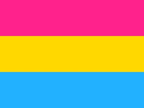 Pansexual- someone sexually attracted people of all genders. #prideflags Pan Flag, Pansexual Flag, Trans Flag, Asexual Pride, Lgbtq Flags, Lgbt Flag, Pansexual Pride, Paper Trail, Backgrounds Wallpapers