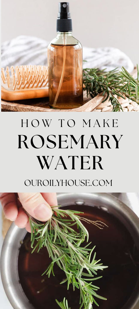 Rosemary For Hair, Rosemary Water, Rosemary Oil For Hair, Healthy Natural Hair Growth, Herbal Recipes, Rosemary Sprigs, Hair Growth Diy, Healthy Natural Hair, Rosemary Oil