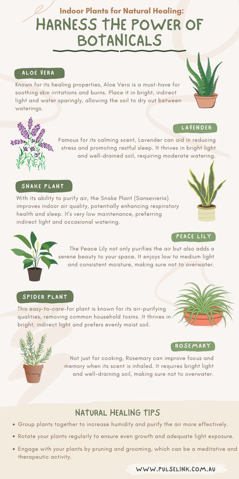 Indoor plants, Natural healing, Botanicals, Plant care, Indoor gardening, Plant selection, Houseplants Plants For Healing, Healing Plants, Natural Healing, Botany, Indoor Plants, Health And Wellness, The Selection, Healing, Health