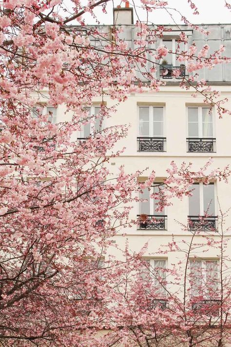 Frühling Wallpaper, Pastel Pink Wallpaper, Pink Wallpaper Backgrounds, Paris Travel Guide, Paris Aesthetic, Pastel Pink Aesthetic, Pink Vibes, Pink Spring, Spring Aesthetic