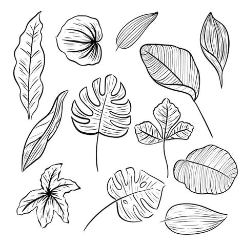 Vector set of leaf hand drawn line doodl... | Premium Vector #Freepik #vector #leaf-doodle #nature-doodle #plant-line #nature-elements Natural Elements Drawing, Leaf Aesthetic Drawing, Nature Elements Drawing, Line Drawing Doodles, Nature Doodles Aesthetic, Leaf Drawing Aesthetic, Aesthetic Leaves Drawing, Plant Sketches Doodles, Aesthetic Leaf Drawing