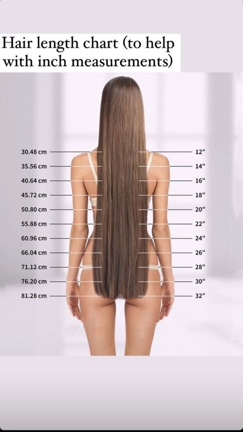 Hair Thickness Chart, Tailbone Length Hair Styles, Length Of Hair Chart, Hair Extensions Length Chart, Lengths Of Hair Chart, Haircut Lengths Chart, Hair Parting Chart, Hair Inches Chart, Trims For Long Hair