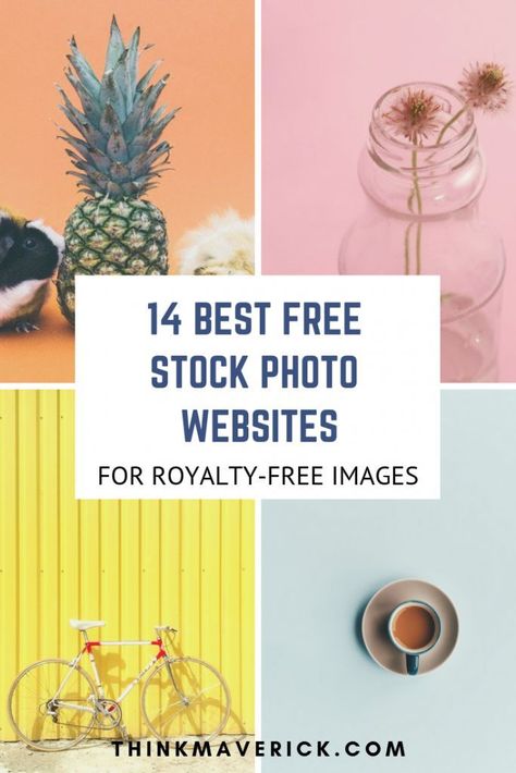 Stock Tips, Business Fonts, Photo Website, Photo Site, Personal Journey, Stock Photography Free, Best Sites, Blogging Tips, Free Photos