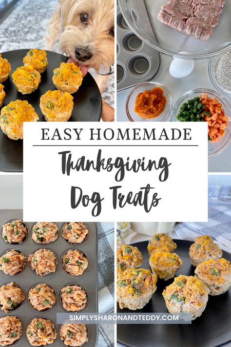 Fondant For Dogs, Thanksgiving Dog Meal, Puppy Thanksgiving Food, Christmas Cookies For Dogs Recipe, Dog Thanksgiving Dinner Recipes, Fall Themed Dog Treats, Winter Dog Treats Homemade, Dogs Thanksgiving Dinner, Thanksgiving Dog Recipes