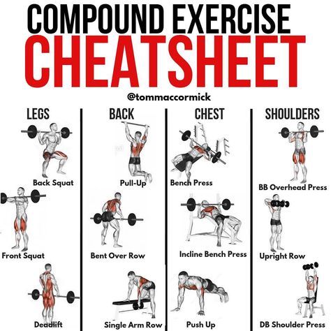 Upper Body Compound Lifts, Chest Compound Exercises, 4 Exercise Workout, Mens Muscle Building Workouts, Compound Muscle Workouts, Compound Weight Training, Back Compound Exercises, Compound Gym Exercises, Muscle Resistance Training