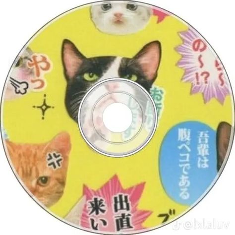 Summer Coquette, Anime Cover, Minimalist Icons, Cd Art, Cat Phone, Aesthetic Moodboard, Anime Cover Photo, Iphone App Design, Cat Icon