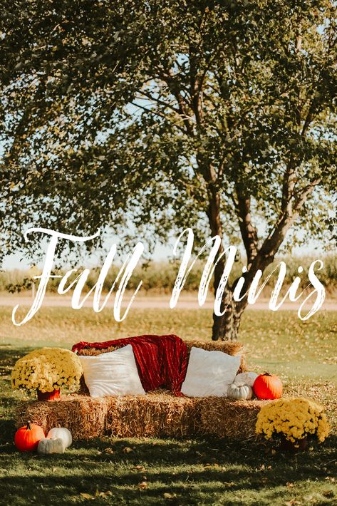 Fall Pictures Props, Fall Outdoor Photoshoot Setup Family, Simple Fall Photoshoot Setup, Fall Decor For Photo Shoot, Fall Family Photo Prop Ideas, Fall Photography Backdrop, Diy Fall Photo Backdrop Outdoor, Fall Photoshoot Decor Ideas, Fall Hay Bale Photoshoot