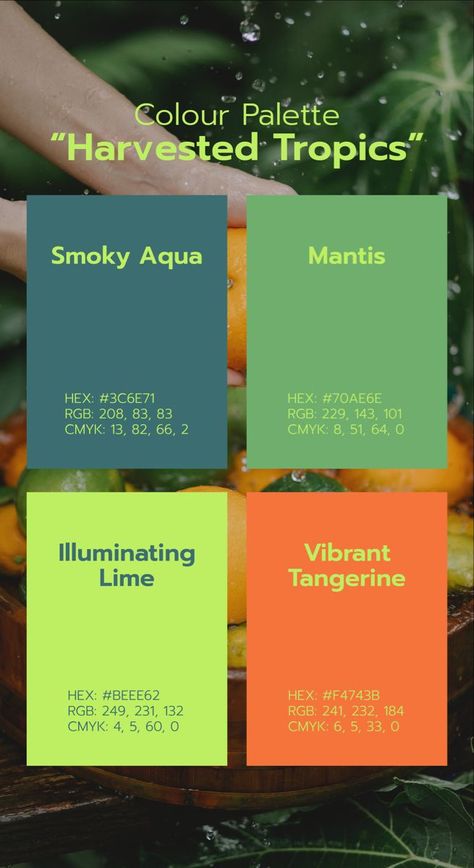 Visuell Identitet, Pantone Colour Palettes, Color Design Inspiration, Hex Color Palette, Color Schemes Colour Palettes, Brand Color Palette, Green Colour Palette, Tropical Colors, Color Palette Design