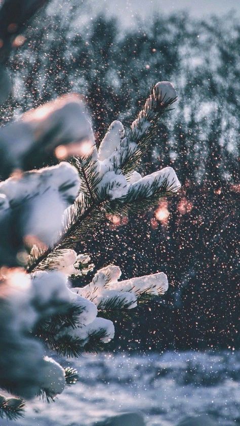 December Wallpaper Aesthetic, Christmas Wallpapers Tumblr, Christmas Lights Wallpaper, December Wallpaper, Iphone Wallpaper Winter, Christmas Wallpaper Backgrounds, Christmas Aesthetic Wallpaper, Xmas Wallpaper, Christmas Phone Wallpaper