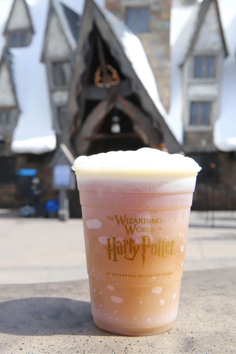 Butterbeer Recipe Alcoholic, Frozen Butterbeer Recipe, Alcoholic Butterbeer, Harry Potter Recipes, Butterbeer Ice Cream, Butter Beer Recipe Harry Potter, Butterbeer Fudge, Frozen Butterbeer, Beer Ice Cream