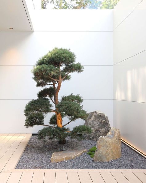 Japan Bonsai Garden, Indoor Stone Garden, Japanese Zen Garden Indoor, Dry Zen Garden, Dry Japanese Garden, Zen Garden In House, Japanese Indoor Garden Design, Zen Landscaping Front Yard, Parking With Garden