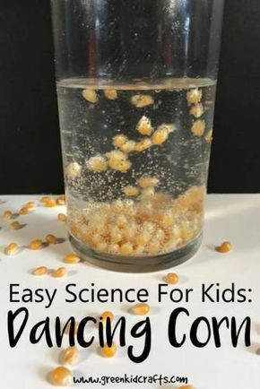 Pilgrim Science Preschool, Dancing Corn, Fall Stem Activities, Vetenskapliga Experiment, Preschool Thanksgiving, Nanny Life, Fall Science, Homeschooling Curriculum, Science For Toddlers