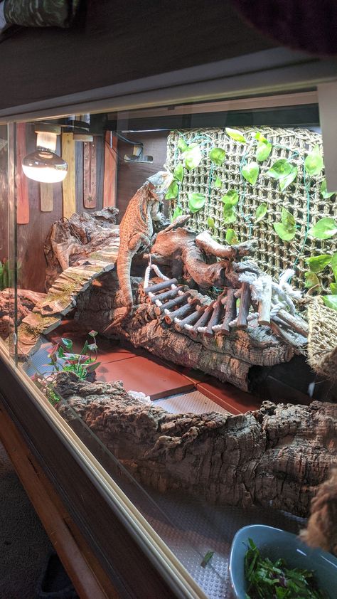 Large Bearded Dragon Terrarium, Bearded Dragon Ideas Tanks, Bearded Dragon Husbandry, Vivarium Ideas Bearded Dragon, Reptile Enclosure Stand, Outdoor Bearded Dragon Enclosure Diy, Best Bearded Dragon Enclosure, Lizard Tank Ideas Diy Bearded Dragon, Unique Bearded Dragon Enclosure