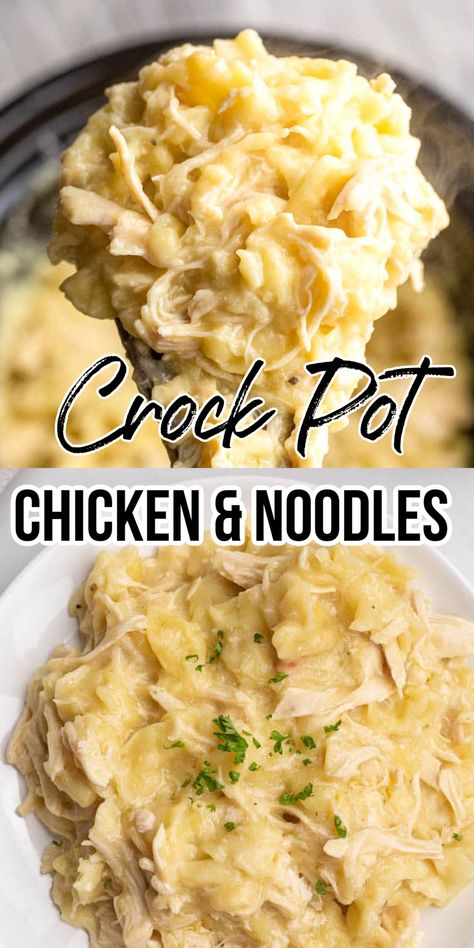 CROCK POT CHICKEN & NOODLES Crock Pot With Egg Noodles, Crockpot Meals With Shredded Chicken, Easy Crockpot Noodle Recipes, Chicken N Noodles Crockpot, Chicken Noodle Casserole Crockpot, Creamy Chicken And Noodles Crockpot, Rotisserie Chicken Crockpot Recipes, Chicken And Noodles Crockpot, Crockpot Chicken Noodles