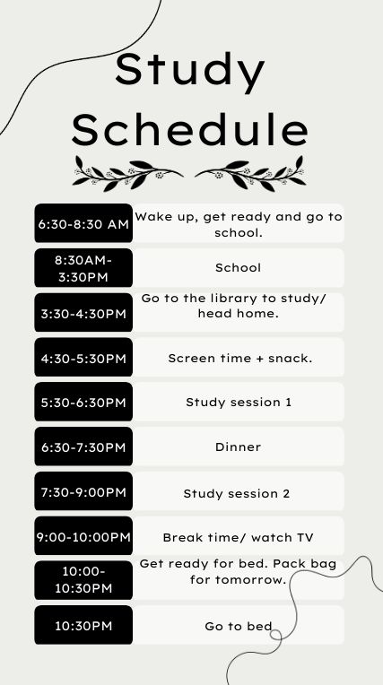 Study Schedule After College, Study Routine With School, Studying Schedule After School, Study Routine For Class 9, Study Routine Schedule College, School And Gym Schedule, School And Work Schedule, 5 Hr Study Schedule, Study Routine Schedule For Exam After School