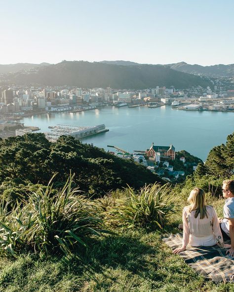 Wellington New Zealand Aesthetic, Wellington Aesthetic, Moving Inspiration, New Zealand Wellington, Nz Summer, Photography Moodboard, New Zealand Cities, 2023 Aesthetic, Dancing In The Kitchen