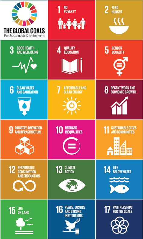 Sustainable Development Design, Sdgs Goals, United Nations Organization, Sustainable Development Projects, Poverty And Hunger, Un Sustainable Development Goals, Ap Spanish, Sustainable City, Social Media Analytics