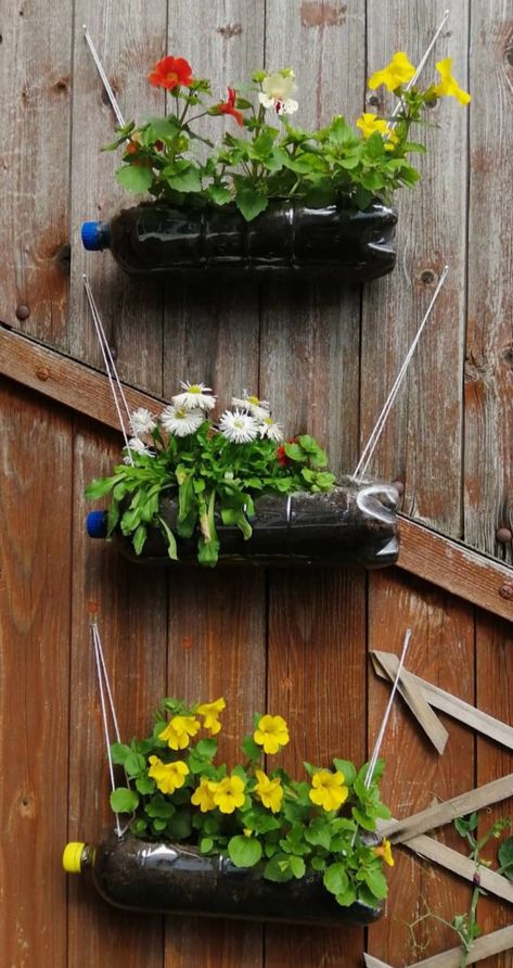 Hanging Plastic Bottle Planter, Soda Bottle Planters, Hanging Bottle Planters, Plastic Bottles Planters, Bottle Planters Diy, Bottle Planter Ideas, Beaver Activities, Upcycle Planters, Small Garden Ideas Diy