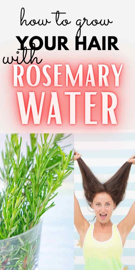 Rosemary Water for Hair Growth; Pros, Cons & Recipe Rosemary Water For Hair Growth, Rosemary For Hair Growth, Rosemary For Hair, Water Hair Growth, Herbs For Hair Growth, Rosemary Hair Growth, How To Darken Hair, Rosemary Water, Hair Growth Tonic