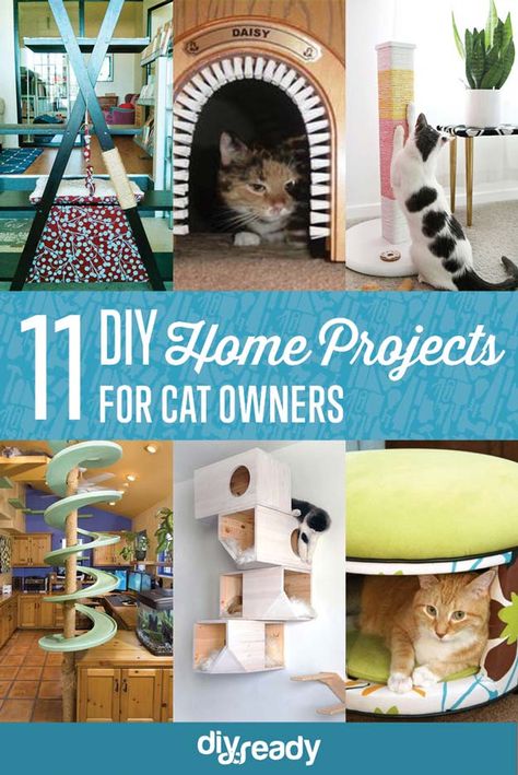 11 Creative DIY Home Projects for Cat Owners Diy Jouet Pour Chat, Katt Grejer, Chat Diy, Gatos Cool, Diy Cat Tree, Diy Cat Toys, Diy Home Projects, Cats Diy Projects, Cat Hacks