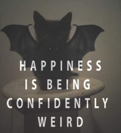 Bat 🐱 Humour, Tumblr, Break Up Quotes, Stay Weird Quotes, Weirdo Quotes, Life Quotes Tumblr, Crazy Quotes, Stay Weird, Tumblr Quotes