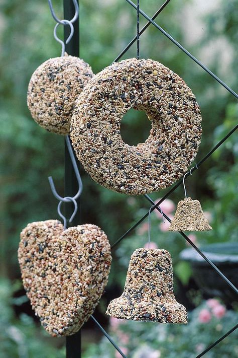 Making a bird seed bell is a quick and easy afternoon project even the kids can get on board with. The recipe requires a bag of wild bird seed mix, a couple of egg whites and a staple gardening item, the terracotta pot. The idea of a bird bell is to entice birds to visit your garden, but not to provide so much feed that they become dependent on it. Bird Seed Crafts, Bird Seed Wreath, Birdseed Ornaments, Seed Craft, Backyard Birds Feeders, Bird Suet, Bird Seed Ornaments, Bird Seed Feeders, Seed Balls