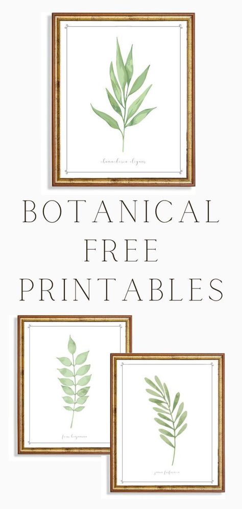 Plant Pictures Printable, Free Greenery Printables, Plant Prints Wall Art Free, Plant Wall Art Printable, Printable Plant Wall Art, Landscape Free Printables, Flower Picture Printable, Prints For Gallery Wall, Printable Watercolor Art Free