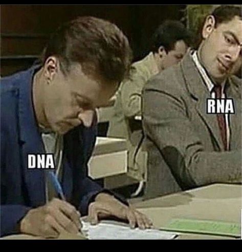 Biology Jokes, Biology Teaching, Biology Memes, Biology Humor, Nerd Memes, Nerdy Jokes, Nerdy Humor, Studying Memes, Science Puns