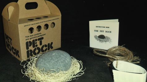 The Many Factors to Consider When Deciding the Best Packaging for Your Food Product White Elephant Christmas, Weird Inventions, Pet Rock, Joke Gifts, Gag Gifts Christmas, Pet Rocks, Santa Gifts, White Elephant, Gift Exchange