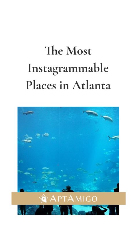 The Most Instagrammable Places in Atlanta Attractions & Activities,Buckhead Atlanta,Downtown Atlanta,Midtown Atlanta,Old Fourth Ward Atlanta,West Midtown Atlanta Places In Atlanta, Atlanta Downtown, Apartment Locator, Atlanta Midtown, Places To Take Pictures, Midtown Atlanta, Downtown Atlanta, Georgia Aquarium, Buckhead Atlanta