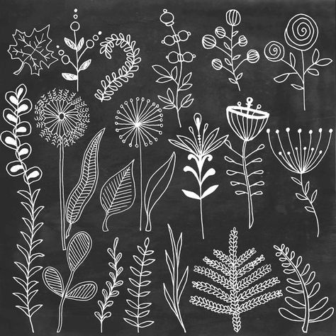 Chalk floral clipart Chalkboard flowers leafs hand painted clip art digital Chalk doodle elements Botanical clipart overlay White clip art,  #Art #botanical #Chalk #chalkboard #clip #Clipart #Digital #Doodle #elements #FabricPaintingonpaper #floral #flowers #Hand #leafs #overlay #Painted #White Check more at http://painting10.tvizlet.me/chalk-floral-clipart-chalkboard-flowers-leafs-hand-painted-clip-art-digital-chalk-doodle-elements-botanical-clipart-overlay-white-clip-art/ Chalkboard Flowers, Doodle Elements, Chalkboard Doodles, Chalk Wall, طابع بريدي, Chalkboard Lettering, Chalk Lettering, Chalkboard Designs, Chalkboard Wall