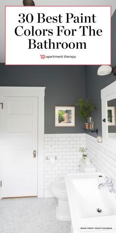 Modern Farmhouse Bathroom Black Hardware, 2023 Bathroom Inspiration, Colour Schemes For Small Bathrooms, Primary Bath Paint Colors, Dramatic Bathroom Colors, Dramatic Small Bathrooms, Bathroom Decor Colors Schemes, Trending Bathroom Colors 2023, Half Bath Color Ideas Paint