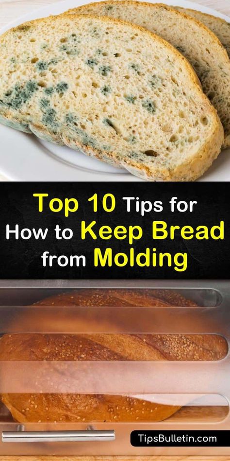 Find out the best ways to store bread to prevent it from developing mold, whether it's a whole loaf or sliced bread. At room temperature, try using a bread box or a sealed paper bag, or place your loaf of bread in the fridge or freezer. #bread #storage #mold #prevent Freezer Bread, Artesian Bread, Pullman Bread, Bread Dipping, Vegetable Benefits, How To Store Bread, Bread Slicer, Bread Mold, Sliced Bread