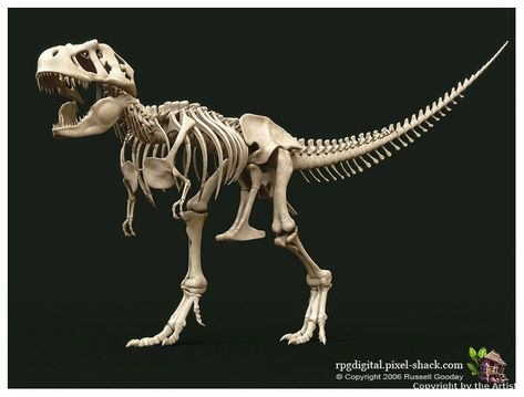 Trex Skeleton, Dinosaur Lesson, Dragon Skeleton, Skeleton Drawings, Animal Skeletons, Dinosaur Pictures, Pumpkin Pies, Sketching Ideas, Dinosaur Skeleton