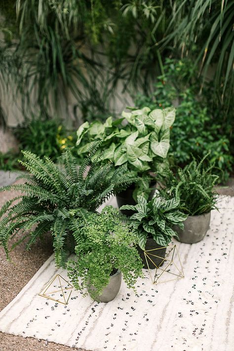 Modern Urban Jungle Wedding - RMBO Collective Plant Wedding Aesthetic, Plants At Wedding Receptions, Wedding With House Plants, Live Plant Wedding Decor, Houseplant Wedding Centerpieces, Live Plants Wedding Decor, Houseplant Centerpiece Wedding, Houseplant Wedding Decor, Tropical Plant Wedding