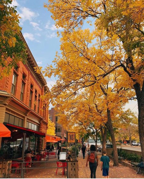 Fort Collins Aesthetic, Colorado Fall Aesthetic, Fort Collins Colorado Aesthetic, Colorado In Fall, Colorado In The Fall, Fall In Colorado, Colorado Aesthetic, Orb Weaver, Colorado Towns