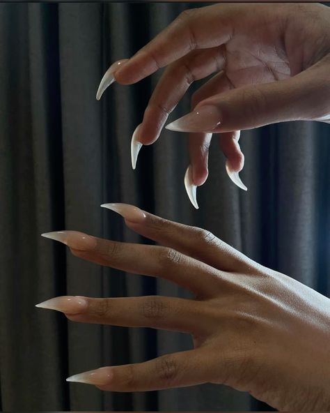 White Sharp Nails, Cat Claw Acrylic Nails, Corpse Nails, Megan Thee Stallion Nails, Fang Nails, Long Sharp Nails, Siren Nails, Claw Nails Designs, Cat Claw Nails