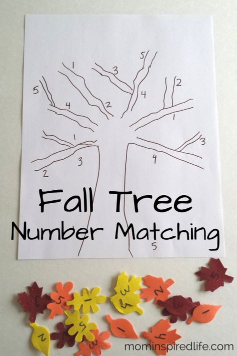 Cute fall learning activity for your little ones Fall Math Activities, Fall November, November Crafts, Fall Preschool Activities, Fall Lessons, Fall Math, Tree Study, Thanksgiving Preschool, 13 November