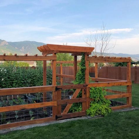 10 Inspiring Garden Fences | The Family Handyman Cedar Post Fence, Garden Enclosure Ideas, Cheap Garden Fencing, Garden Mesh, Diy Garden Fence, Vegetable Garden Design, Backyard Fences, Garden In The Woods, Garden Boxes