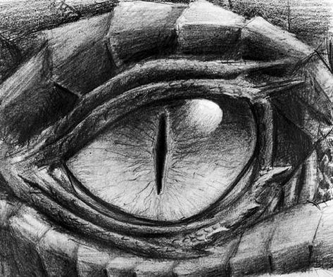 Dragon Eye Drawing, Pencil Drawing Images, Realistic Eye Drawing, Dragon Sketch, Tattoos Art, Desenho Tattoo, Dragon Eye, Fitness Photography, Dragon Artwork